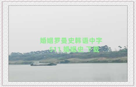 婚姻罗曼史韩语中字511 婚姻史 下载